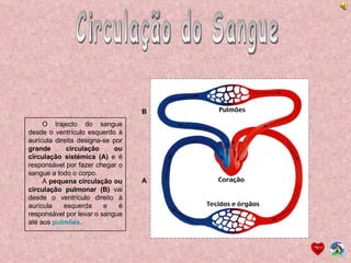 Circulação do Sangue O trajecto do sangue desde o ventrículo esquerdo à aurícula direita designa-se por  grande circulação ou circulação sistémica (A)  e é responsável por fazer chegar o sangue a todo o corpo. A  pequena circulação ou circulação pulmonar (B)  vai desde o ventrículo direito à aurícula esquerda e é responsável por levar o sangue até aos  pulmões . A B 