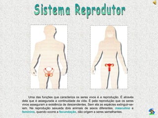 Sistema Reprodutor Uma das funções que caracteriza os seres vivos é a reprodução. É através dela que é assegurada a continuidade da vida. É pela reprodução que os seres vivos asseguram a existência de descendentes. Sem ela as espécies extinguir-se-iam. Na reprodução sexuada dois animais de sexos diferentes,  masculino  e  feminino , quando ocorre a  fecundação , dão origem a seres semelhantes. 