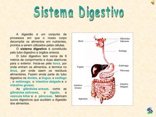 Sistema Digestivo Boca Glândulas Salivares Esófago Fígado Estômago Pâncreas Apêndice Intestino Delgado Intestino Grosso A digestão é um conjunto de processos em que o nosso corpo decompõe os alimentos em nutrientes, prontos a serem utilizados pelas células. O  sistema digestivo  é constituído pelo tubo digestivo e órgãos anexos. O tubo digestivo tem cerca de 9 metros de comprimento e duas aberturas para o exterior. Inicia-se pela  boca , por onde entram os alimentos, e termina no  ânus , por onde saem os resíduos alimentares. Fazem ainda parte do tubo digestivo os  dentes , a  língua , o  esófago , o  estômago , o  intestino delgado   e o  intestino grosso . As  glândulas anexas , como as  glândulas salivares , o  fígado , a  vesícula biliar   e o  pâncreas , fabricam sucos digestivos que auxiliam a digestão dos alimentos. 