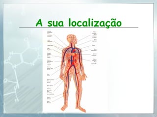 A sua localização 