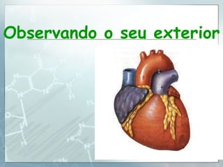 Observando o seu exterior 