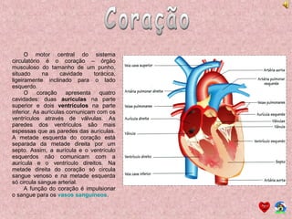 O motor central do sistema
circulatório é o coração – órgão
musculoso do tamanho de um punho,
situado na cavidade torácica,
ligeiramente inclinado para o lado
esquerdo.
O coração apresenta quatro
cavidades: duas aurículas na parte
superior e dois ventrículos na parte
inferior. As aurículas comunicam com os
ventrículos através de válvulas. As
paredes dos ventrículos são mais
espessas que as paredes das aurículas.
A metade esquerda do coração está
separada da metade direita por um
septo. Assim, a aurícula e o ventrículo
esquerdos não comunicam com a
aurícula e o ventrículo direitos. Na
metade direita do coração só circula
sangue venoso e na metade esquerda
só circula sangue arterial.
A função do coração é impulsionar
o sangue para os vasos sanguíneos.
 