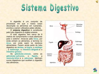 Boca
Glândulas
Salivares
Esófago
Fígado
Estômago
Pâncreas
Apêndice
Intestino
Delgado
Intestino
Grosso
A digestão é um conjunto de
processos em que o nosso corpo
decompõe os alimentos em nutrientes,
prontos a serem utilizados pelas células.
O sistema digestivo é constituído
pelo tubo digestivo e órgãos anexos.
O tubo digestivo tem cerca de 9
metros de comprimento e duas aberturas
para o exterior. Inicia-se pela boca, por
onde entram os alimentos, e termina no
ânus, por onde saem os resíduos
alimentares. Fazem ainda parte do tubo
digestivo os dentes, a língua, o esófago
, o estômago, o intestino delgado e o
intestino grosso.
As glândulas anexas, como as
glândulas salivares, o fígado, a
vesícula biliar e o pâncreas, fabricam
sucos digestivos que auxiliam a digestão
dos alimentos.
 