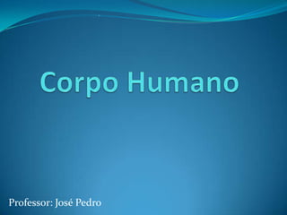 Corpo Humano Professor: José Pedro 