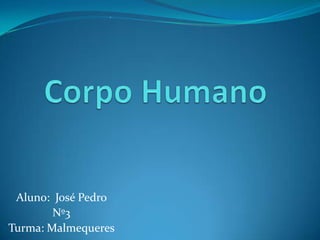 Corpo Humano Aluno:  José Pedro  Nº3 Turma: Malmequeres  