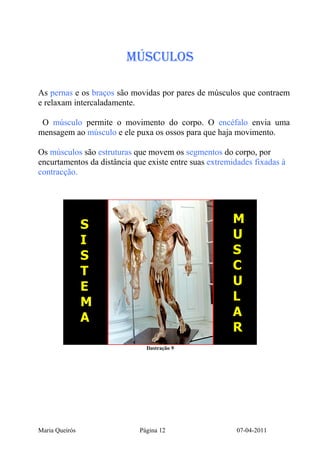 MÚSCULOS

As pernas e os braços são movidas por pares de músculos que contraem
e relaxam intercaladamente.

 O músculo permite o movimento do corpo. O encéfalo envia uma
mensagem ao músculo e ele puxa os ossos para que haja movimento.

Os músculos são estruturas que movem os segmentos do corpo, por
encurtamentos da distância que existe entre suas extremidades fixadas à
contracção.




                S                                      M
                I                                      U
                S                                      S
                T                                      C
                E                                      U
                M                                      L
                A                                      A
                                                       R
                               Ilustração 9




Maria Queirós                Página 12                   07-04-2011
 