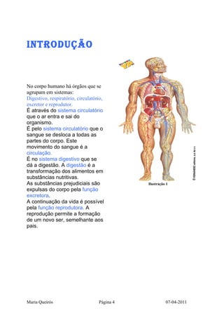 iNtROdUçãO



No corpo humano há órgãos que se
agrupam em sistemas:
Digestivo, respiratório, circulatório,
excretor e reprodutor.
É através do sistema circulatório
que o ar entra e sai do
organismo.
É pelo sistema circulatório que o
sangue se desloca a todas as
partes do corpo. Este
movimento do sangue é a
circulação.
É no sistema digestivo que se
dá a digestão. A digestão é a
transformação dos alimentos em
substâncias nutritivas.
As substâncias prejudiciais são               Ilustração 1
expulsas do corpo pela função
excretora.
A continuação da vida é possível
pela função reprodutora. A
reprodução permite a formação
de um novo ser, semelhante aos
pais.




Maria Queirós                      Página 4             07-04-2011
 