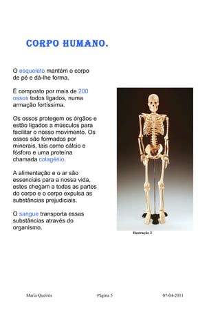 CORPO HUMANO.

O esqueleto mantém o corpo
de pé e dá-lhe forma.

É composto por mais de 200
ossos todos ligados, numa
armação fortíssima.

Os ossos protegem os órgãos e
estão ligados a músculos para
facilitar o nosso movimento. Os
ossos são formados por
minerais, tais como cálcio e
fósforo e uma proteína
chamada colagénio.

A alimentação e o ar são
essenciais para a nossa vida,
estes chegam a todas as partes
do corpo e o corpo expulsa as
substâncias prejudiciais.

O sangue transporta essas
substâncias através do
organismo.
                                             Ilustração 2




    Maria Queirós                 Página 5                  07-04-2011
 