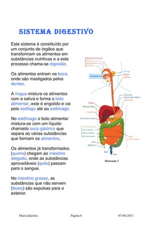 SiSteMA diGeStivO
Este sistema é constituído por
um conjunto de órgãos que
transformam os alimentos em
substâncias nutritivas e a este
processo chama-se digestão.

Os alimentos entram na boca,
onde são mastigados pelos
dentes.

A língua mistura os alimentos
com a saliva e forma o bolo
alimentar, este é engolido e vai
pelo esófago até ao estômago.

No estômago o bolo alimentar
mistura-se com um líquido
chamado suco gástrico que
separa as várias substâncias
que formam os alimentos.

Os alimentos já transformados
(quimo) chegam ao intestino
delgado, onde as substâncias                  Ilustração 3
aproveitáveis (quilo) passam
para o sangue.

No intestino grosso, as
substâncias que não servem
(fezes) são expulsas para o
exterior.




    Maria Queirós                  Página 6              07-04-2011
 