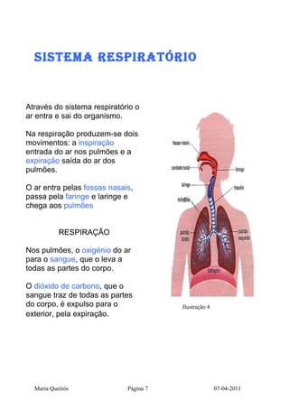 SiSteMA ReSPiRAtÓRiO


Através do sistema respiratório o
ar entra e sai do organismo.

Na respiração produzem-se dois
movimentos: a inspiração
entrada do ar nos pulmões e a
expiração saída do ar dos
pulmões.

O ar entra pelas fossas nasais,
passa pela faringe e laringe e
chega aos pulmões


           RESPIRAÇÃO

Nos pulmões, o oxigénio do ar
para o sangue, que o leva a
todas as partes do corpo.

O dióxido de carbono, que o
sangue traz de todas as partes
do corpo, é expulso para o              Ilustração 4
exterior, pela expiração.




  Maria Queirós              Página 7                  07-04-2011
 