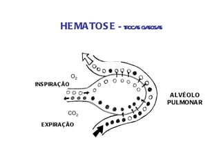 HEMATOSE  – trocas gasosas ALVÉOLO  PULMONAR  INSPIRAÇÃO  EXPIRAÇÃO  