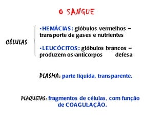 O SANGUE CÉLULAS   HEMÁCIAS:  glóbulos vermelhos – transporte de gases e nutrientes LEUCÓCITOS:  glóbulos brancos – produzem os anticorpos  defesa  PLASMA:   parte líquida, transparente. PLAQUETAS:   fragmentos de células, com função  de COAGULAÇÃO. 