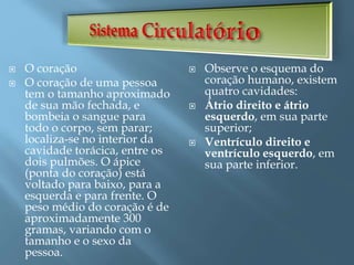  O coração
 O coração de uma pessoa
tem o tamanho aproximado
de sua mão fechada, e
bombeia o sangue para
todo o corpo, sem parar;
localiza-se no interior da
cavidade torácica, entre os
dois pulmões. O ápice
(ponta do coração) está
voltado para baixo, para a
esquerda e para frente. O
peso médio do coração é de
aproximadamente 300
gramas, variando com o
tamanho e o sexo da
pessoa.
 Observe o esquema do
coração humano, existem
quatro cavidades:
 Átrio direito e átrio
esquerdo, em sua parte
superior;
 Ventrículo direito e
ventrículo esquerdo, em
sua parte inferior.
 