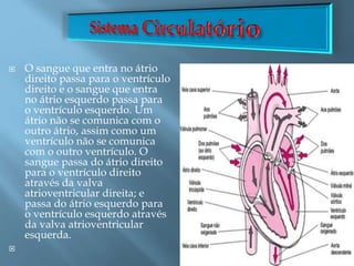  O sangue que entra no átrio
direito passa para o ventrículo
direito e o sangue que entra
no átrio esquerdo passa para
o ventrículo esquerdo. Um
átrio não se comunica com o
outro átrio, assim como um
ventrículo não se comunica
com o outro ventrículo. O
sangue passa do átrio direito
para o ventrículo direito
através da valva
atrioventricular direita; e
passa do átrio esquerdo para
o ventrículo esquerdo através
da valva atrioventricular
esquerda.

 