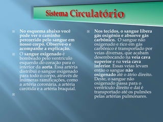  No esquema abaixo você
pode ver o caminho
percorrido pelo sangue em
nosso corpo. Observe-o e
acompanhe a explicação.
 O sangue oxigenado é
bombeado pelo ventrículo
esquerdo do coração para o
interior da aorta. Essa artéria
distribui o sangue oxigenado
para todo o corpo, através de
inúmeras ramificações, como
a artéria coronária, a artéria
carótida e a artéria braquial.

 Nos tecidos, o sangue libera
gás oxigênio e absorve gás
carbônico. O sangue não
oxigenado e rico em gás
carbônico é transportado por
veias diversas, que acabam
desembocando na veia cava
superior e na veia cava
inferior. Essas veias levam
então o sangue não
oxigenado até o átrio direito.
Deste, o sangue não
oxigenado passa para o
ventrículo direito e daí é
transportado até os pulmões
pelas artérias pulmonares.
 