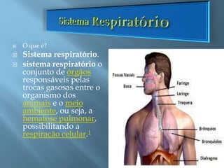  O que é?
 Sistema respiratório.
 sistema respiratório o
conjunto de órgãos
responsáveis pelas
trocas gasosas entre o
organismo dos
animais e o meio
ambiente, ou seja, a
hematose pulmonar,
possibilitando a
respiração celular.1
 