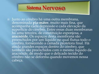  Junto ao cérebro há uma outra membrana,
denominada pia-máter, muito mais fina, que
acompanha cada depressão e cada elevação da
superfície do cérebro. Entre essas duas membranas
há uma terceira, de constituição esponjosa, a
aracnóide. Os espaços desta membrana são
preenchidos por um liquido no qual flutua todo o
cérebro, fornecendo a camada protetora final. Há
ainda grandes espaços dentro do cérebro, que
também são preenchidos com o mesmo liquido da
aracnóide, de modo que o delicado tecido do
cérebro não se deforma quando movemos nossa
cabeça.
 