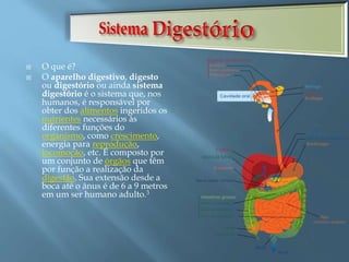  O que é?
 O aparelho digestivo, digesto
ou digestório ou ainda sistema
digestório é o sistema que, nos
humanos, é responsável por
obter dos alimentos ingeridos os
nutrientes necessários às
diferentes funções do
organismo, como crescimento,
energia para reprodução,
locomoção, etc. É composto por
um conjunto de órgãos que têm
por função a realização da
digestão. Sua extensão desde a
boca até o ânus é de 6 a 9 metros
em um ser humano adulto.3
 