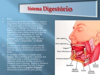  Boca
 A boca é a primeira estrutura do sistema
digestório. Experimente abrir a sua boca.
A abertura que se forma entre o lábio
superior e o inferior se chama fenda
bucal. Ela serve de comunicação do tubo
digestório com o meio externo; é por ela
que entram os alimentos. O “céu da
boca” é também chamado de véu
palatino ou palato duro. Mais para o
fundo está a “campainha” ou úvula
palatina.
 O arco dental superior e o arco dental
inferior são as estruturas em forma de
arco em que os dentes estão dispostos e
fixos.
 O assoalho da boca é ocupado pela
língua. Ela contribui para a mistura dos
alimentos com a saliva, mantém o
alimento junto aos dentes, empurra o
alimento para a faringe, limpa os dentes e
é o órgão importante da fala. A língua
apresenta ainda as papilas linguais,
estruturas responsáveis pela gustaç
 