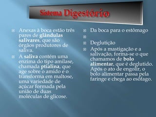  Anexas à boca estão três
pares de glândulas
salivares, que são
órgãos produtores de
saliva.
 A saliva contém uma
enzima do tipo amilase,
chamada ptialina, que
age sobre o amido e o
transforma em maltose,
uma variedade de
açúcar formada pela
união de duas
moléculas de glicose.
 Da boca para o estômago

 Deglutição
 Após a mastigação e a
salivação, forma-se o que
chamamos de bolo
alimentar, que é deglutido.
Após o ato de engolir, o
bolo alimentar passa pela
faringe e chega ao esôfago.
 