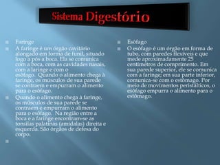  Faringe
 A faringe é um órgão cavitário
alongado em forma de funil, situado
logo a pós a boca. Ela se comunica
com a boca, com as cavidades nasais,
com a laringe e com o
esôfago. Quando o alimento chega à
faringe, os músculos de sua parede
se contraem e empurram o alimento
para o esôfago.
 Quando o alimento chega à faringe,
os músculos de sua parede se
contraem e empurram o alimento
para o esôfago. Na região entre a
boca e a faringe encontram-se as
tonsilas palatinas (amídalas) direita e
esquerda. São órgãos de defesa do
corpo.

 Esôfago
 O esôfago é um órgão em forma de
tubo, com paredes flexíveis e que
mede aproximadamente 25
centímetros de comprimento. Em
sua parede superior, ele se comunica
com a faringe; em sua parte inferior,
comunica-se com o estômago. Por
meio de movimentos peristálticos, o
esôfago empurra o alimento para o
estômago.
 