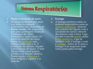  Nariz e cavidade do nariz
 As duas cavidades por onde
o ar entra no sistema
respiratório são chamadas de
fossas nasais. São separadas
por uma cartilagem chamada
cartilagem do septo,
formando o septo nasal. Os
pêlos no interior do nariz
retém as partículas que
entram junto com o ar. É
composto de células ciliadas
e produtoras de muco. O teto
da cavidade nasal possui
células com função olfativa.
Nesta região, a mucosa é
bem irrigada e aquece o ar
inalado.
 Faringe
 A faringe pertence tanto ao
sistema respiratório como ao
sistema digestório. Através
das coanas esta ligada com a
cavidade do nariz e através
das fauces, com a boca. Liga-
se com o ouvido médio pelas
tubas auditivas. Liga-se
também com a laringe e com
o esôfago. Antes de ir para a
laringe, o ar inspirado pelo
nariz passa pela faringe.
 