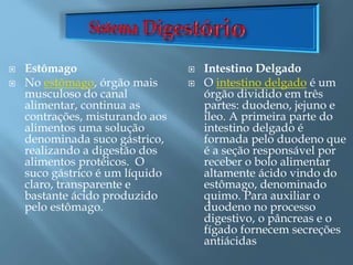  Estômago
 No estômago, órgão mais
musculoso do canal
alimentar, continua as
contrações, misturando aos
alimentos uma solução
denominada suco gástrico,
realizando a digestão dos
alimentos protéicos. O
suco gástrico é um líquido
claro, transparente e
bastante ácido produzido
pelo estômago.
 Intestino Delgado
 O intestino delgado é um
órgão dividido em três
partes: duodeno, jejuno e
íleo. A primeira parte do
intestino delgado é
formada pelo duodeno que
é a seção responsável por
receber o bolo alimentar
altamente ácido vindo do
estômago, denominado
quimo. Para auxiliar o
duodeno no processo
digestivo, o pâncreas e o
fígado fornecem secreções
antiácidas
 