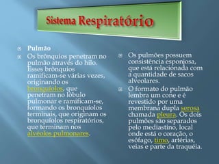  Pulmão
 Os brônquios penetram no
pulmão através do hilo.
Esses brônquios
ramificam-se várias vezes,
originando os
bronquíolos, que
penetram no lóbulo
pulmonar e ramificam-se,
formando os bronquíolos
terminais, que originam os
bronquíolos respiratórios,
que terminam nos
alvéolos pulmonares.
 Os pulmões possuem
consistência esponjosa,
que está relacionada com
a quantidade de sacos
alveolares.
 O formato do pulmão
lembra um cone e é
revestido por uma
membrana dupla serosa
chamada pleura. Os dois
pulmões são separados
pelo mediastino, local
onde está o coração, o
esôfago, timo, artérias,
veias e parte da traquéia.
 