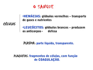 O SANGUE
CÉLULAS
•HEMÁCIAS: glóbulos vermelhos – transporte
de gases e nutrientes
•LEUCÓCITOS: glóbulos brancos – produzem
os anticorpos defesa
PLASMA: parte líquida, transparente.
PLAQUETAS: fragmentos de células, com função
de COAGULAÇÃO.
 