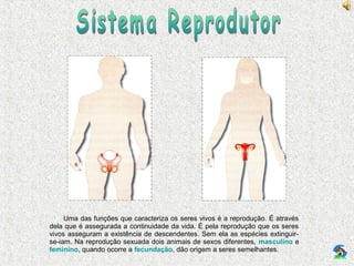 Uma das funções que caracteriza os seres vivos é a reprodução. É através
dela que é assegurada a continuidade da vida. É pela reprodução que os seres
vivos asseguram a existência de descendentes. Sem ela as espécies extinguir-
se-iam. Na reprodução sexuada dois animais de sexos diferentes, masculino e
feminino, quando ocorre a fecundação, dão origem a seres semelhantes.
 