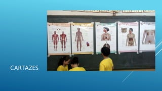 CARTAZES
 
