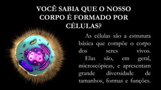 As células são a estrutura
básica que compõe o corpo
dos seres vivos.
Elas são, em geral,
microscópicas, e apresentam
grande diversidade de
tamanhos, formas e funções.
VOCÊ SABIA QUE O NOSSO
CORPO É FORMADO POR
CÉLULAS?
 