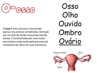 Osso
                                            Olho
                                           Ouvido
                                           Ombro
O osso é uma estrutura encontrada
apenas nos animais vertebrados, formado
por um tipo de tecido conjuntivo (tecido

                                           Ovário
ósseo). É caracterizado por uma matriz
extracelular endurecida pela presença de
compostos de cálcio em suas estruturas.
 