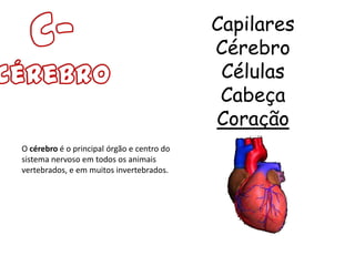 Capilares
                                            Cérebro
                                             Células
                                             Cabeça
                                            Coração
O cérebro é o principal órgão e centro do
sistema nervoso em todos os animais
vertebrados, e em muitos invertebrados.
 