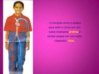 Corpo humano e_casa
