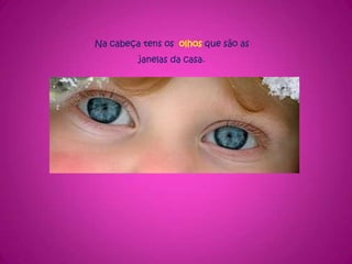 Na cabeça tens os  olhos que são as janelas da casa.