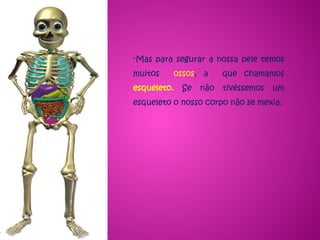 -Mas para segurar a nossa pele temos
muitos ossos, a que chamamos
esqueleto. Se não tivéssemos um
esqueleto o nosso corpo não se mexia.
 
