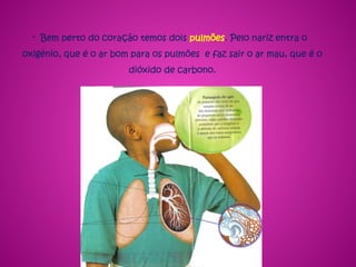 - Bem perto do coração temos dois pulmões. Pelo nariz entra o
oxigénio, que é o ar bom para os pulmões e faz sair o ar mau, que é o
dióxido de carbono.
 