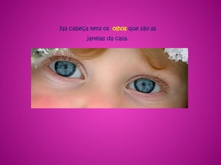 Na cabeça tens os olhos que são as
janelas da casa.
 