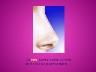 -Um nariz , que é a chaminé, por onde
entra e sai o ar e te permite cheirar .
 