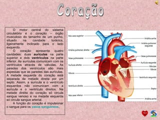 Coração O motor central do sistema circulatório é o coração – órgão musculoso do tamanho de um punho, situado na cavidade torácica, ligeiramente inclinado para o lado esquerdo. O coração apresenta quatro cavidades: duas  aurículas  na parte superior e dois  ventrículos  na parte inferior. As aurículas comunicam com os ventrículos através de válvulas. As paredes dos ventrículos são mais espessas que as paredes das aurículas. A metade esquerda do coração está separada da metade direita por um septo. Assim, a aurícula e o ventrículo esquerdos não comunicam com a aurícula e o ventrículo direitos. Na metade direita do coração só circula sangue venoso e na metade esquerda só circula sangue arterial. A função do coração é impulsionar o sangue para os  vasos sanguíneos . 