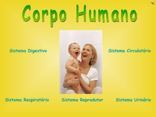 Corpo Humano Sistema Digestivo Sistema Respiratório Sistema Reprodutor Sistema Circulatório Sistema Urinário 