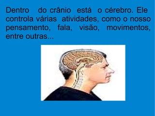 Dentro  do crânio  está  o cérebro. Ele  controla várias  atividades, como o nosso pensamento, fala, visão, movimentos, entre outras... 
