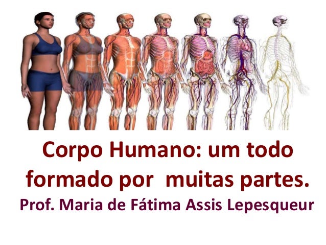 O sonho em um gato rasteja sonhado