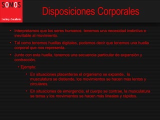 Disposiciones Corporales ,[object Object],[object Object],[object Object],[object Object],[object Object],[object Object]