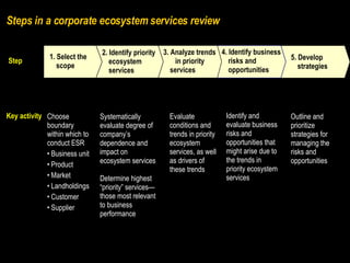 Steps in a corporate ecosystem services review Key activity Step Outline and prioritize strategies for managing the risks and opportunities 5. Develop strategies Identify and evaluate business risks and opportunities that might arise due to the trends in priority ecosystem services 4. Identify business risks and opportunities Evaluate conditions and trends in priority ecosystem services, as well as drivers of these trends 3. Analyze trends  in priority services Systematically evaluate degree of company’s dependence and impact on ecosystem services Determine highest “priority” services—those most relevant to business performance 2. Identify priority ecosystem services Choose boundary within which to conduct ESR Business unit Product Market Landholdings Customer Supplier 1. Select the scope 