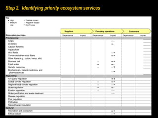 Step 2.  Identifying priority ecosystem services 