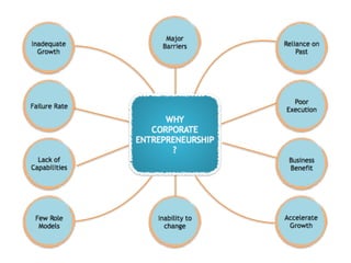The Four Models of Corporate Entrepreneurship
THE	ENABLER	
“Company	provides	funding	&	senior		
executive	attention	on	pro...