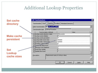 Additional Lookup Properties
Set cache
directory
Set
Lookup
cache sizes
Make cache
persistent
 