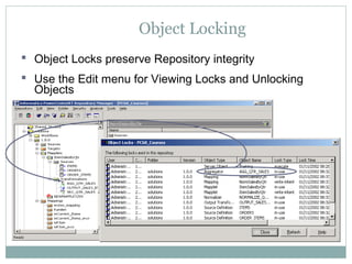 Object Locking
 Object Locks preserve Repository integrity
 Use the Edit menu for Viewing Locks and Unlocking
Objects
 